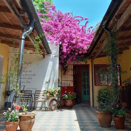 Alma De Proa Bed & Breakfast 산안토니오데아레코 외부 사진