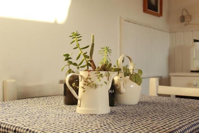 Alma De Proa Bed & Breakfast 산안토니오데아레코 외부 사진